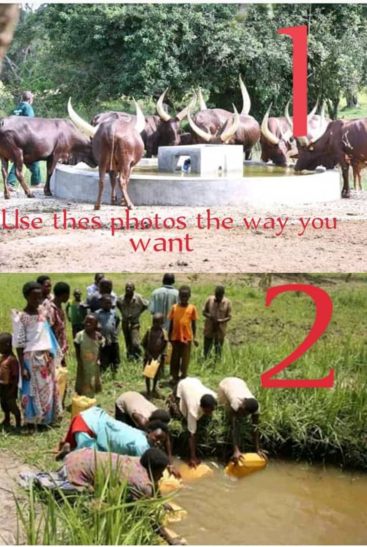 effects of corruption in Uganda