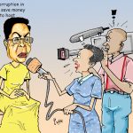 Inspectorate of Government and disadvantages of lacking legal personality