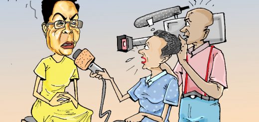 Inspectorate of Government and disadvantages of lacking legal personality